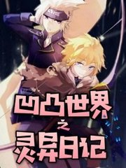 深入了解 某柠檬 柠檬味的导航